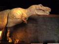 富山市科学博物館の恐竜 の動画、YouTube動画。