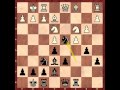 Sicilian Defence. Sveshnikov Variation. Timman vs Short (1989)