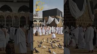 Allah Niye Jao Kabay Maf Chaibo Kabay - New Gojol 2026 | Sirajul Hoque Alif
