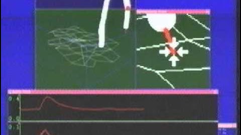 NASA Video from 1991: Self-Supervising Autonomous Robot Control