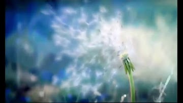 Sr. Secondary, Mathematics : Matrices