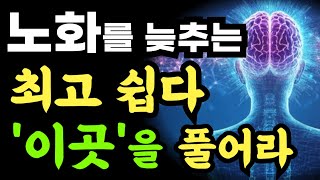 노화를 가속시키고 고질병의 원인은 뇌의 높은 온도가 원인입니다 이를 해결하기 위한 단 하나의 습관은 이곳을 뚫어주는 것입니다