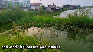 If I hadn't fallen asleep, I wouldn't have known that there were big fish in the irrigation ditch...