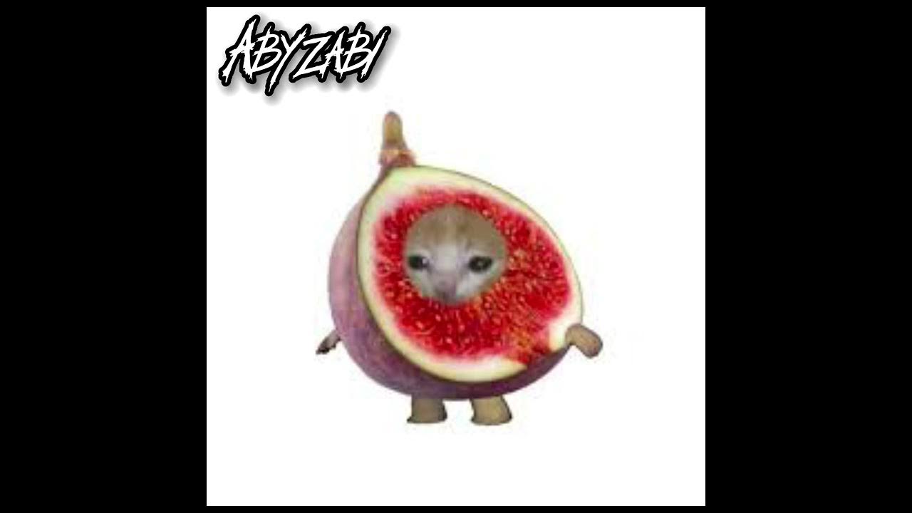 lover-is-a-day-but-pomegranate-cat-youtube