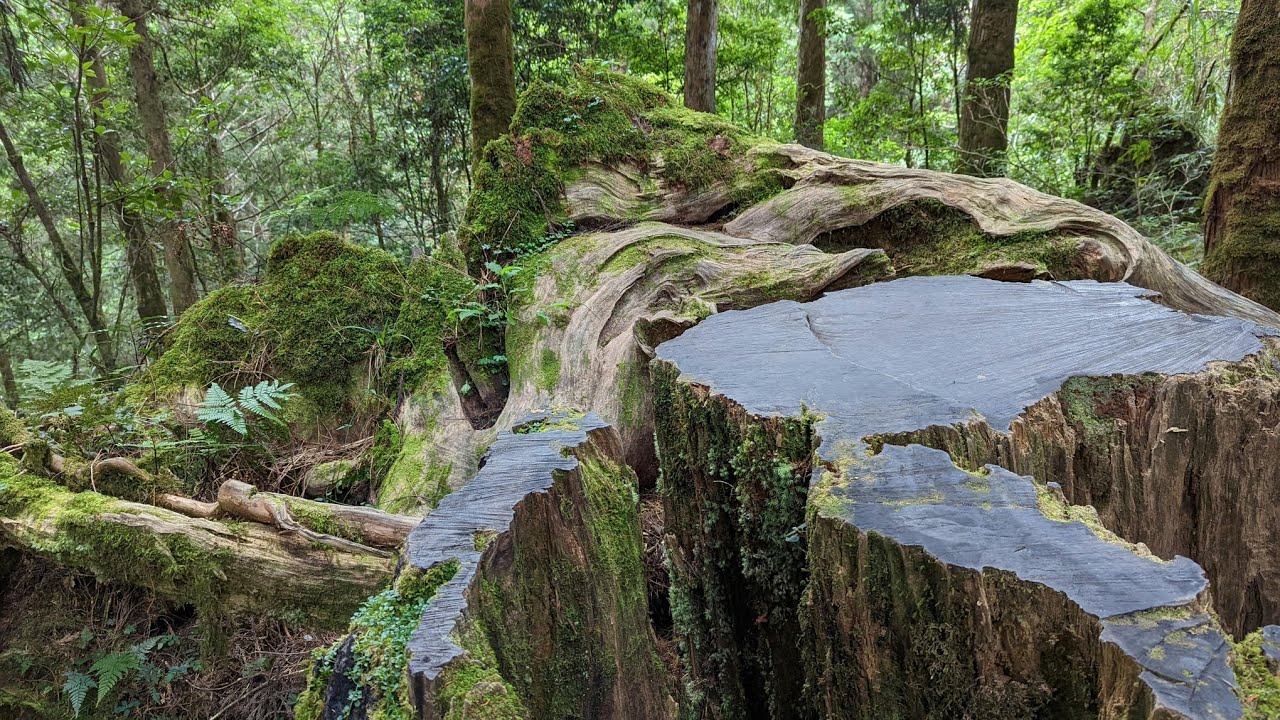 Black Screen Rainy Car Interior | Pure ASMR Real Night Drive Rain Sounds 🧘‍♀️🌦️⛈️💤