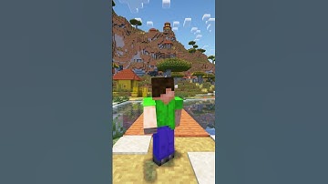 Ce joueur qui a déjà tout fait sur Minecraft 3