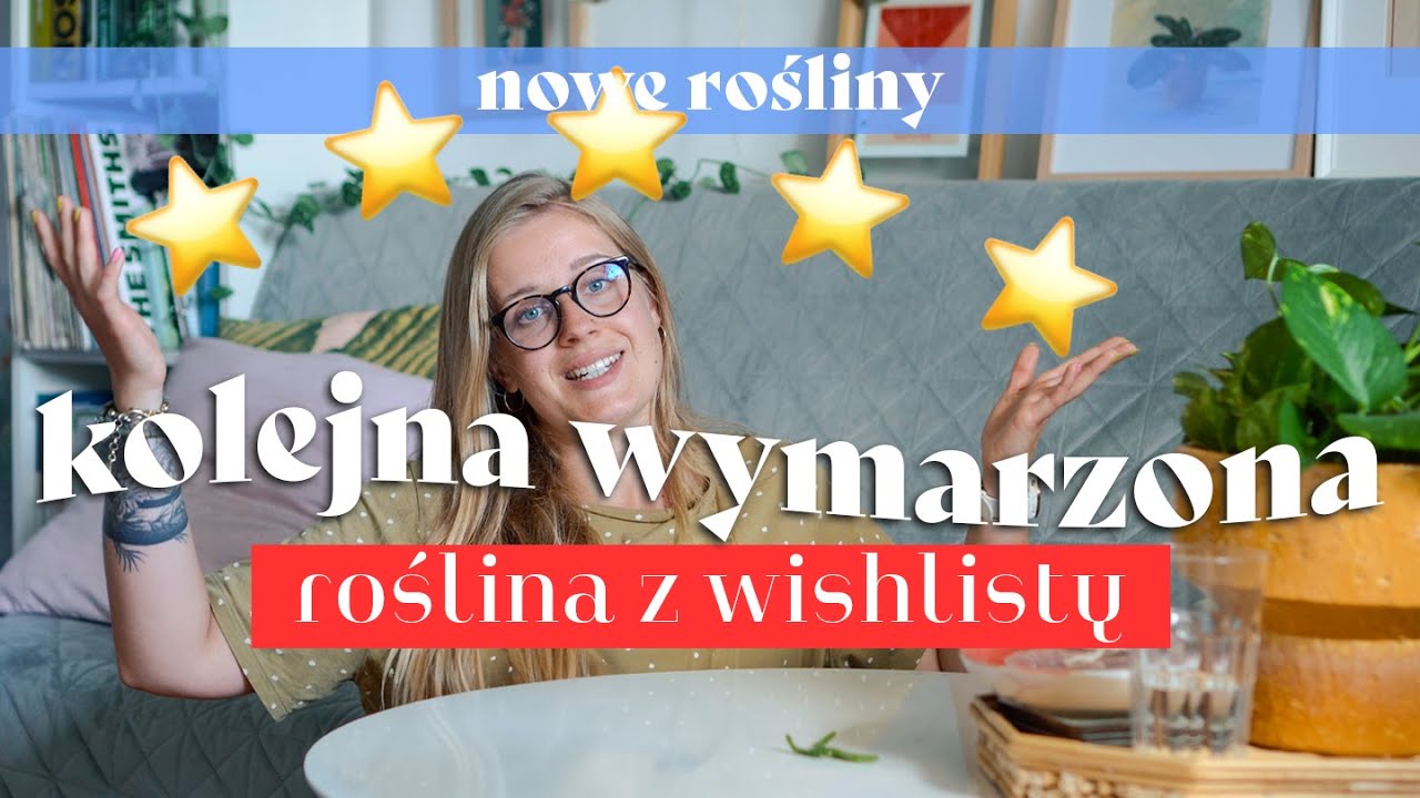⭐ Kolejne marzenie! Wybierz osłonkę ⭐