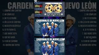 LJ01 MC01 RM01B SP 9X16 250723 CIDAIHUADONG03