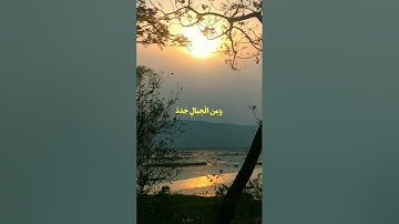 من سورة فاطر: أَلَمْ تَرَ أَنَّ اللَّهَ أَنزَلَمِنَ السَّمَاءِ مَاءً القارئ #رعد_الكردي#قرآن #quran