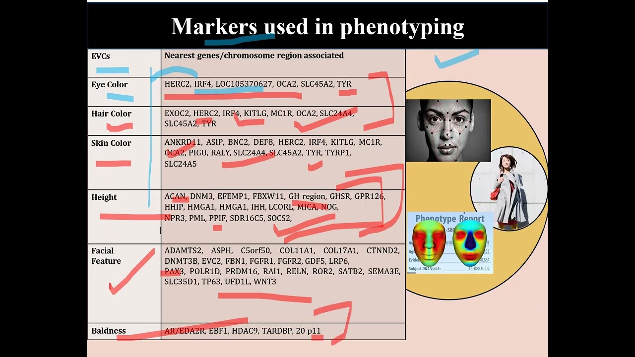 Forensic DNA Phenotyping Explained | Complete Guide with Real Case Study BY Prachi Tripathi.