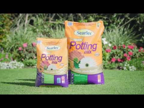 Searles 3D TVC