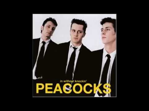 Punk music video thumbnail preview for The Peacocks - Let's Rock