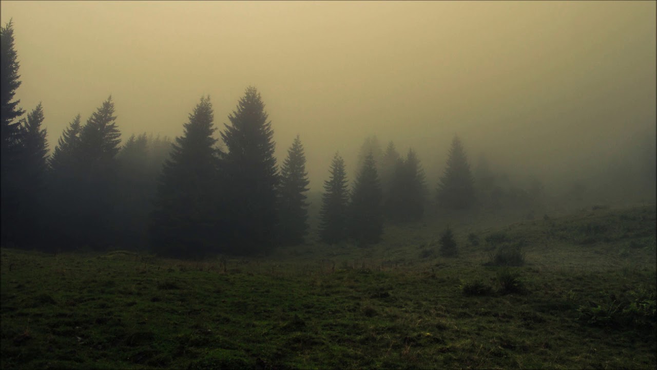 Alias Conrad Coldwood - In A Daze