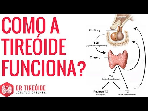 Vídeo: A Função Da Tireóide