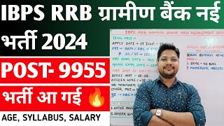 IBPS RRB Gramin Bank New Vacancy 2024 | IBPS RRB Clerk Po Recruitment 2024