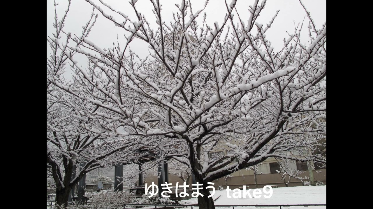 ゆきはまうtake9 long Ver