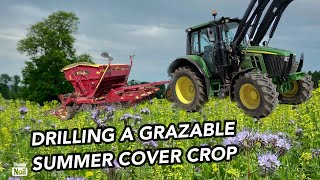 Planting a SUMMER COVER CROP To Improve SOIL HEALTH - Using A Vaderstad Rapid!