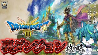 【ドラゴンクエストIII そして伝説へ…】裏ダンジョン攻略＃16　ドラクエ３リメイク（ネタバレあり）