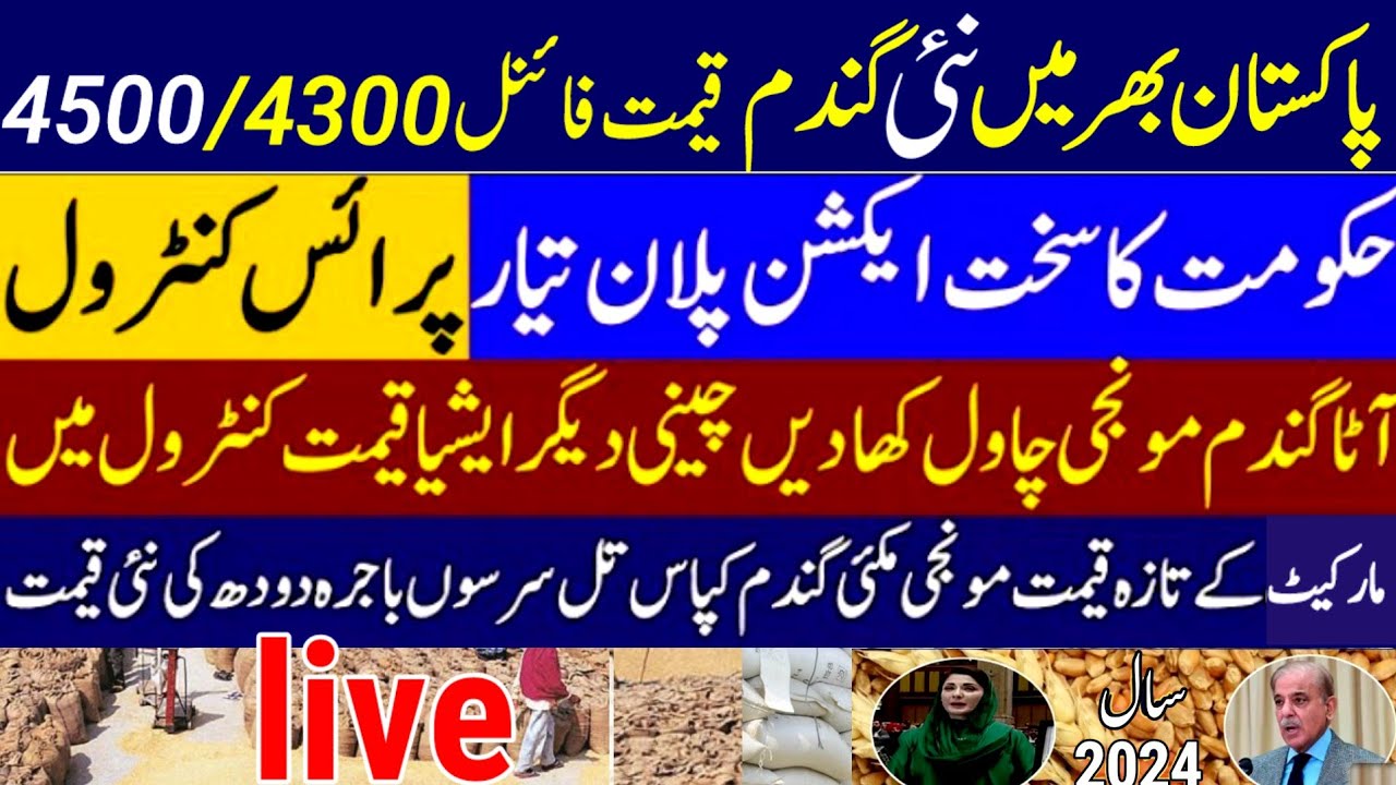 wheat price in pakistan 2024/ wheat support price 2024| gundam ka rate ...