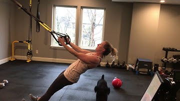 TRX Low Row with 2 second pause