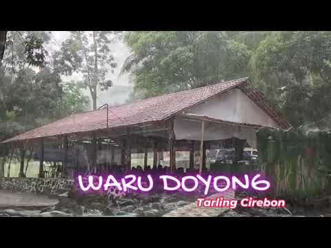 Waru Doyong