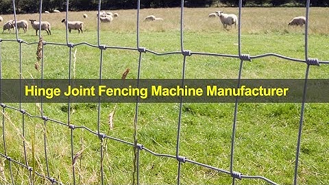 Hinge Joint Fencing Machine sold to Hungary | DAPU Machinery | Youtube Video
