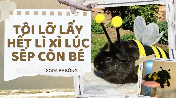 [Truyện Audio ] [FULL] TÔI LỠ LẤY HẾT LÌ XÌ LÚC SẾP CÒN BÉ || Sora Bé Bỏng