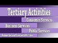 Understanding the Tertiary Sector