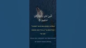 القارىء ماهر عرار 💙 حالات واتس اب قران ❤ تلاوة خاشعة 💙Quran Status 💜 اية قرانية قصيره💚ستوريات انستا