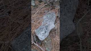 Walk through at "GOLDEN GLEN" 40ac unpatented placer mining claim. S.F. Poorman Creek, Nevada County