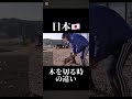 木を切る時の違い🇯🇵vs🇷🇺