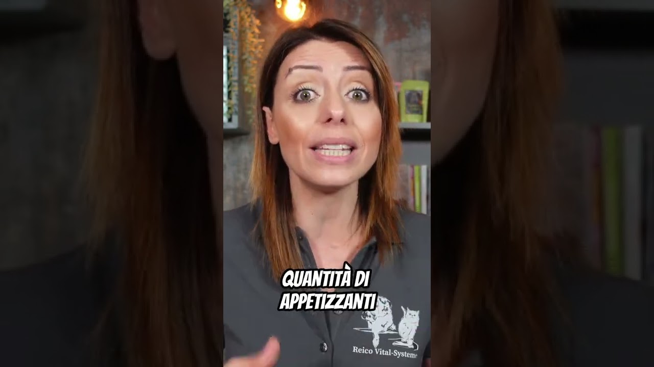 Perché il cane mangia la cacca del gatto YouTube