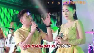 VITA ALVIA NEW