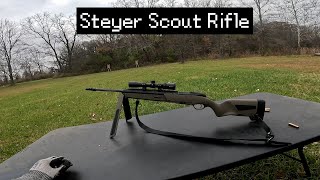 Showing off the Steyer Scout Rifle!