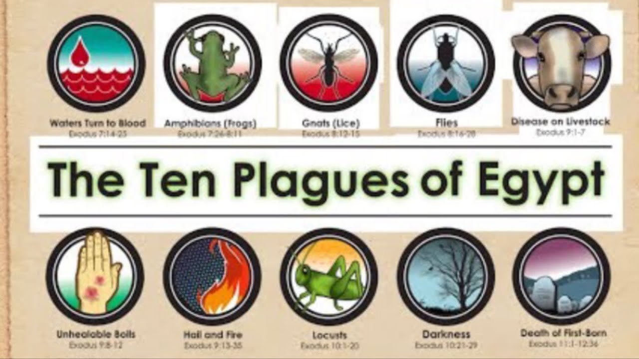 Biblical History: The Ten Plagues Of Egypt - YouTube