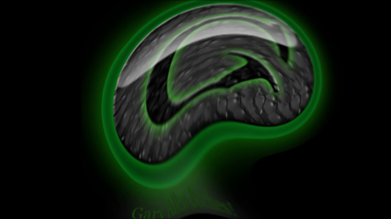 Tre Flippa's With Allen G Son