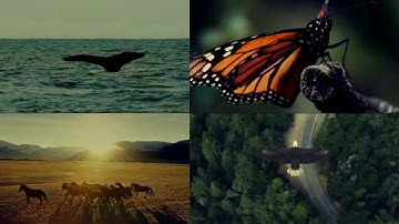 Thiền Cho Mẹ Thiên Nhiên | Inner Space