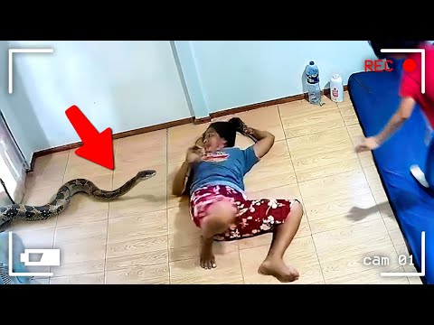 100 НЕВЕРОЯТНЫХ МОМЕНТОВ, СНЯТЫХ НА КАМЕРЫ НАБЛЮДЕНИЯ