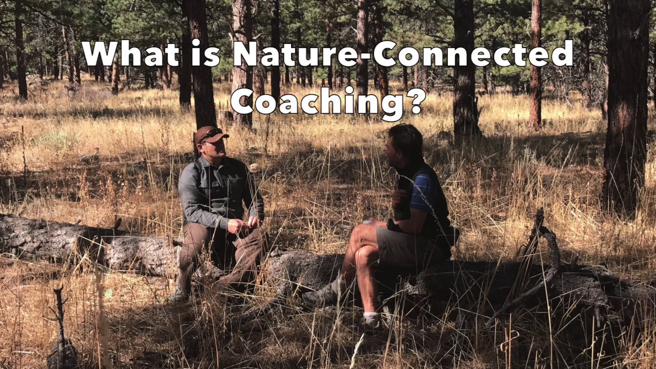 What is Nature-Connected Coaching? *