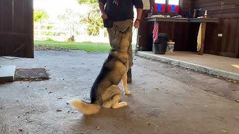 Marker Training basics - step 1