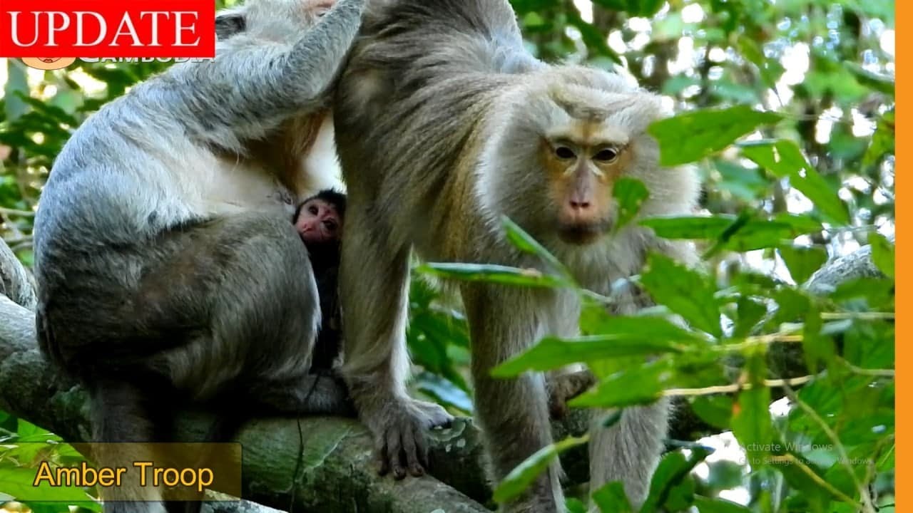 Red Scar ? Scarlet's New Born Baby's Face Has Small Red Scar on