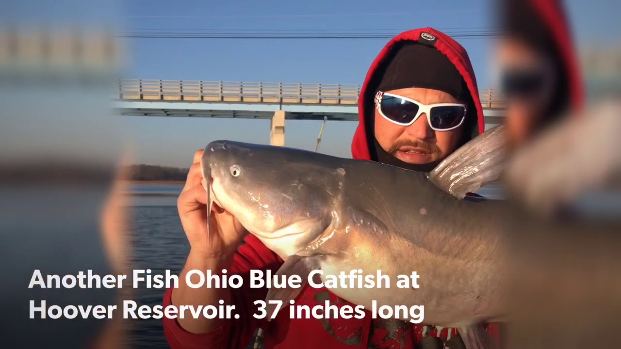 Deep water Winter Blue Catfish YouTube
