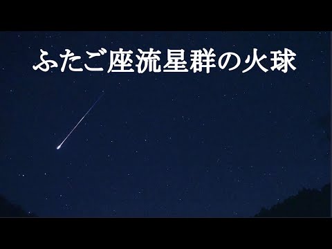 にゃんた - YouTube