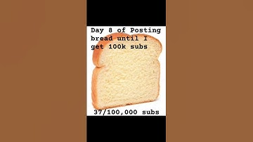 Day 8 of posting bread until I get 100k subscribers #foryou #fypシ #challenge #bread #100k
