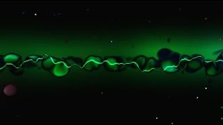 Peace Division Pres Dark Daze  Lotties Vogue turn Down The Light  Walk 4 Me