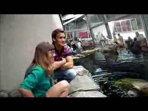 New england aquarium discount coupons