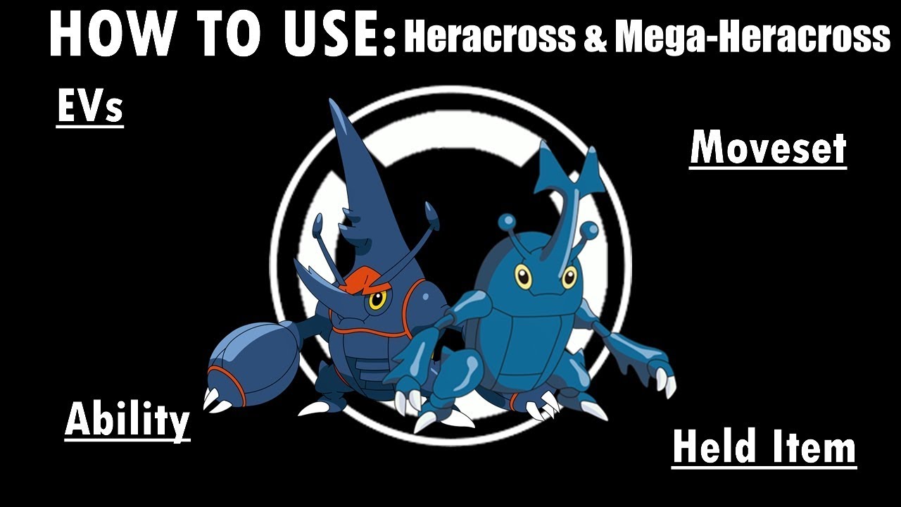 Competitive Guides- How To Use Heracross & Mega-Heracross