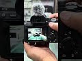 Sony A7 Mark 3 Result #sony #trending #camera #shorts #shortvideo #viral #ytshorts #photography