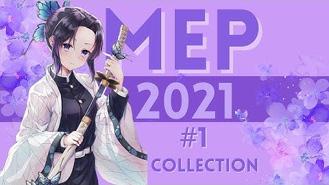 2021 MEP Collection #1
