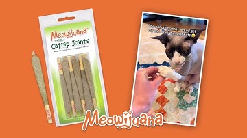 🌿 The Ultimate Catnip Experience! | Meowijuana Catnibas® King Meowy J’s 😻